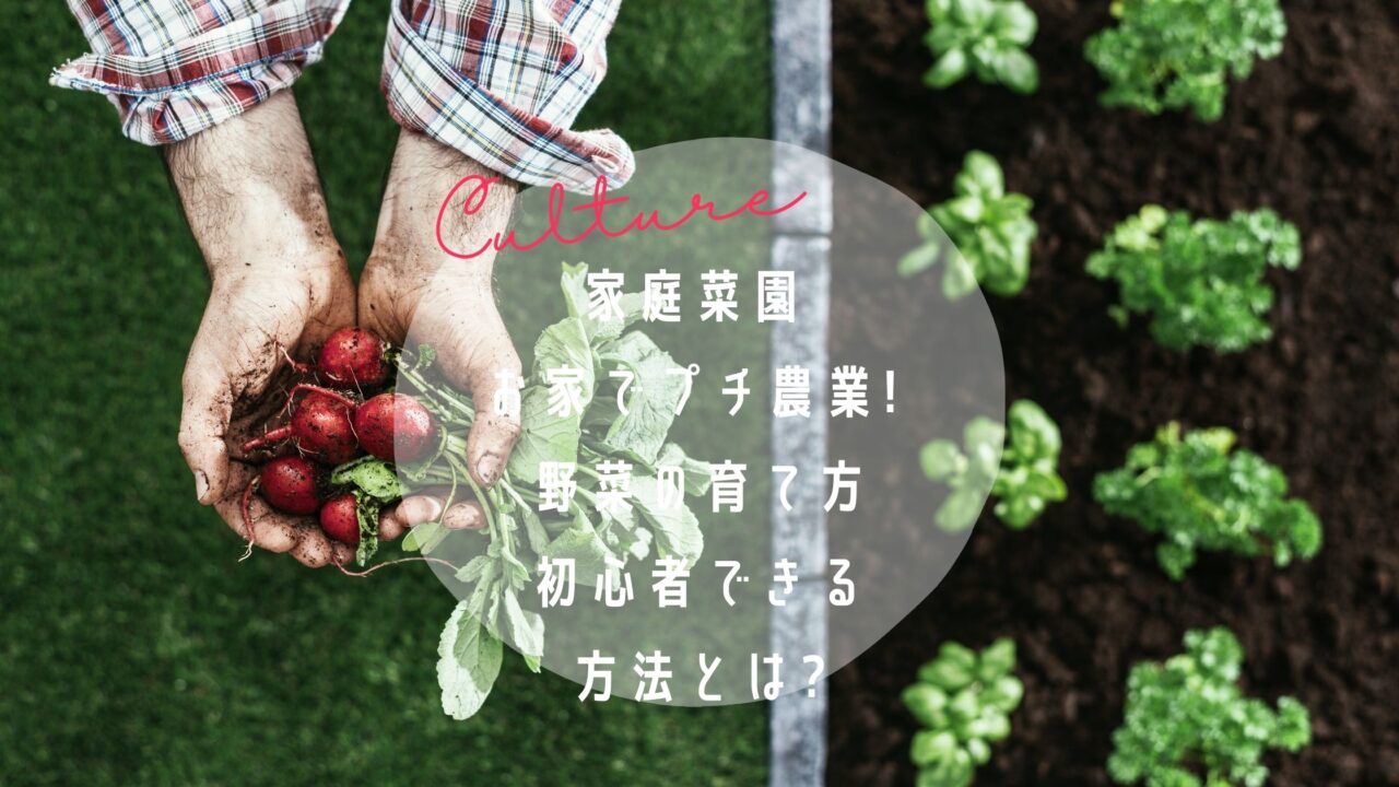家庭菜園 | お家でプチ農業! 野菜の育て方・初心者でも簡単にできる方法とは?